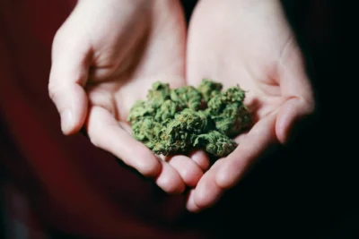 maconha